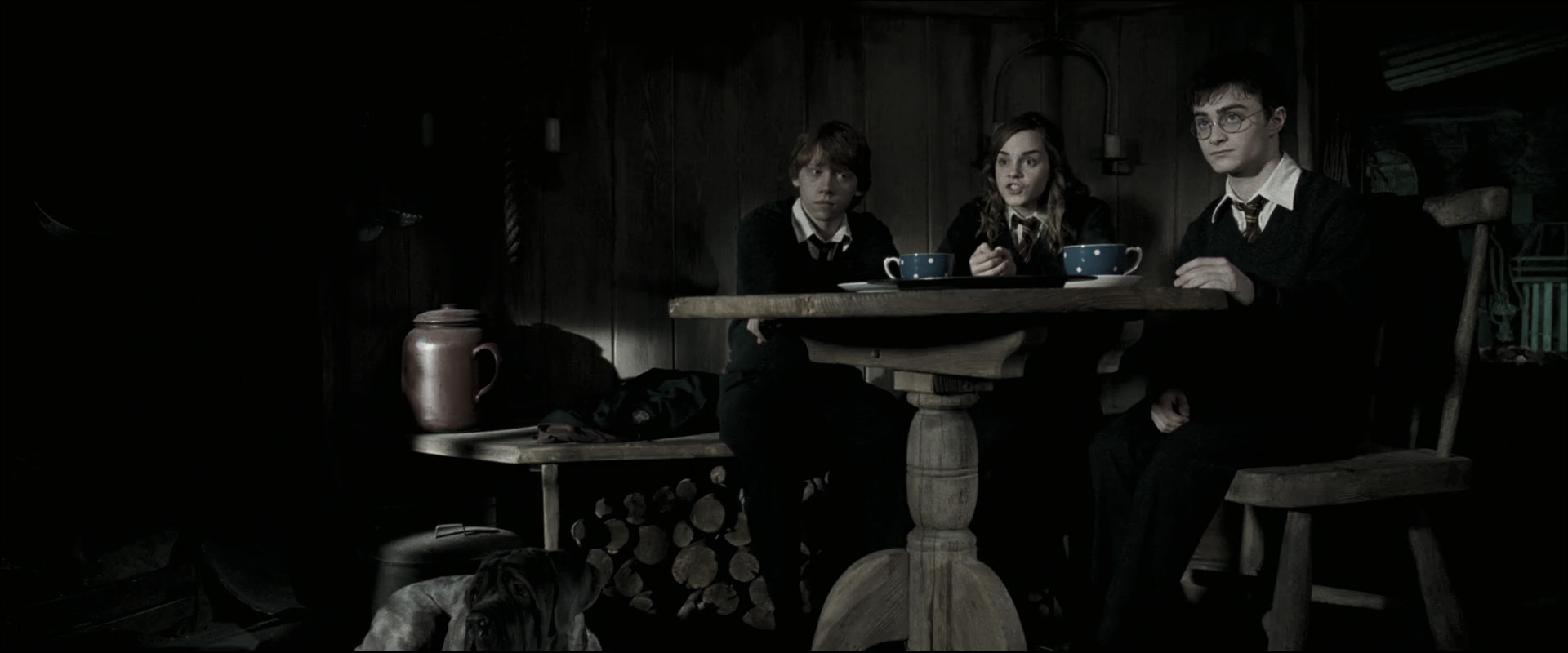 EmmaWatsonFan_dot_nl-HarryPotterAndTheOrderOfThePhoenix4545.jpg