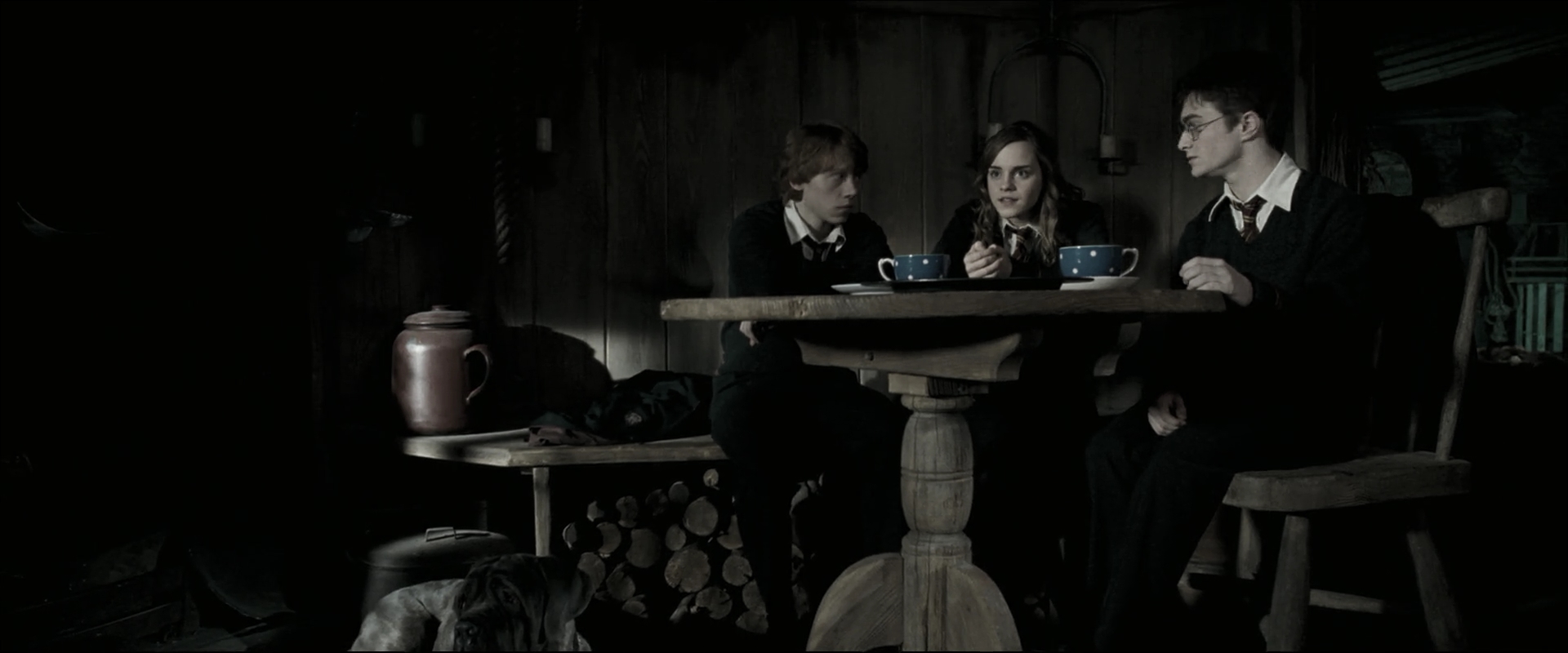 EmmaWatsonFan_dot_nl-HarryPotterAndTheOrderOfThePhoenix4546.jpg