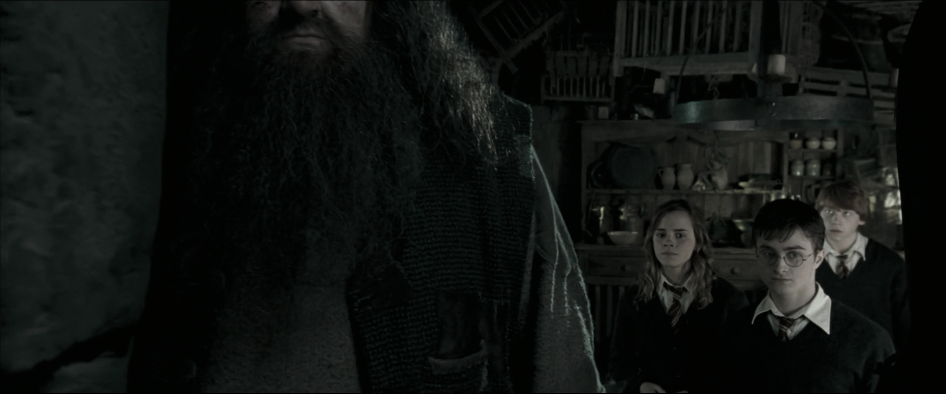 EmmaWatsonFan_dot_nl-HarryPotterAndTheOrderOfThePhoenix4608.jpg