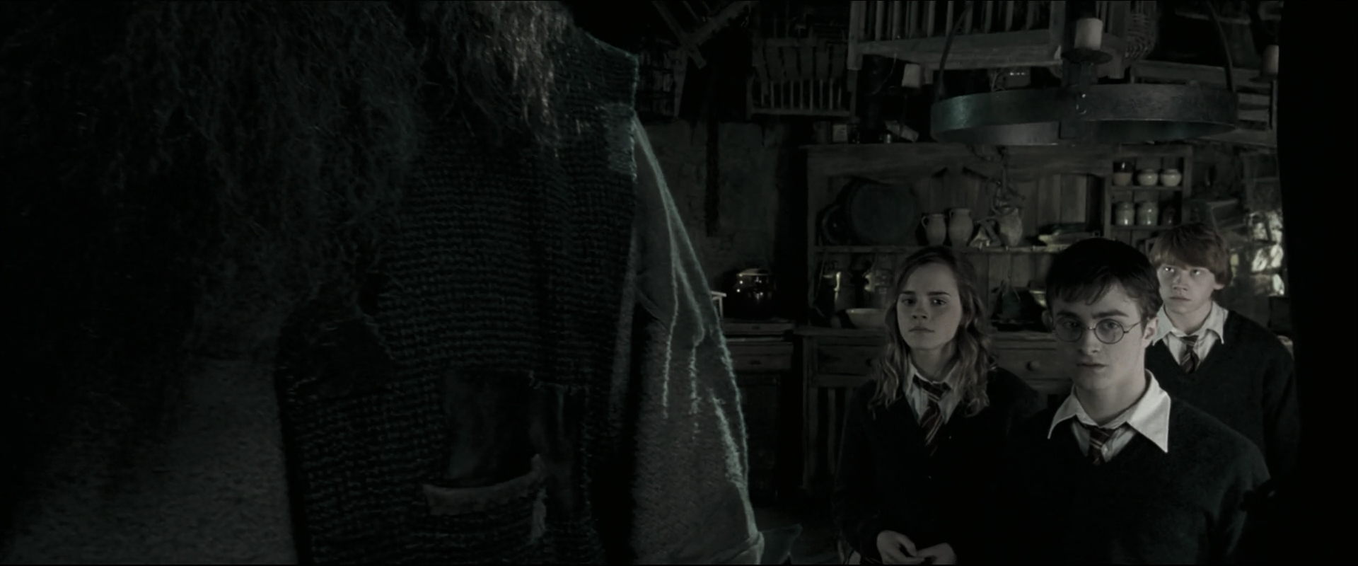 EmmaWatsonFan_dot_nl-HarryPotterAndTheOrderOfThePhoenix4609.jpg