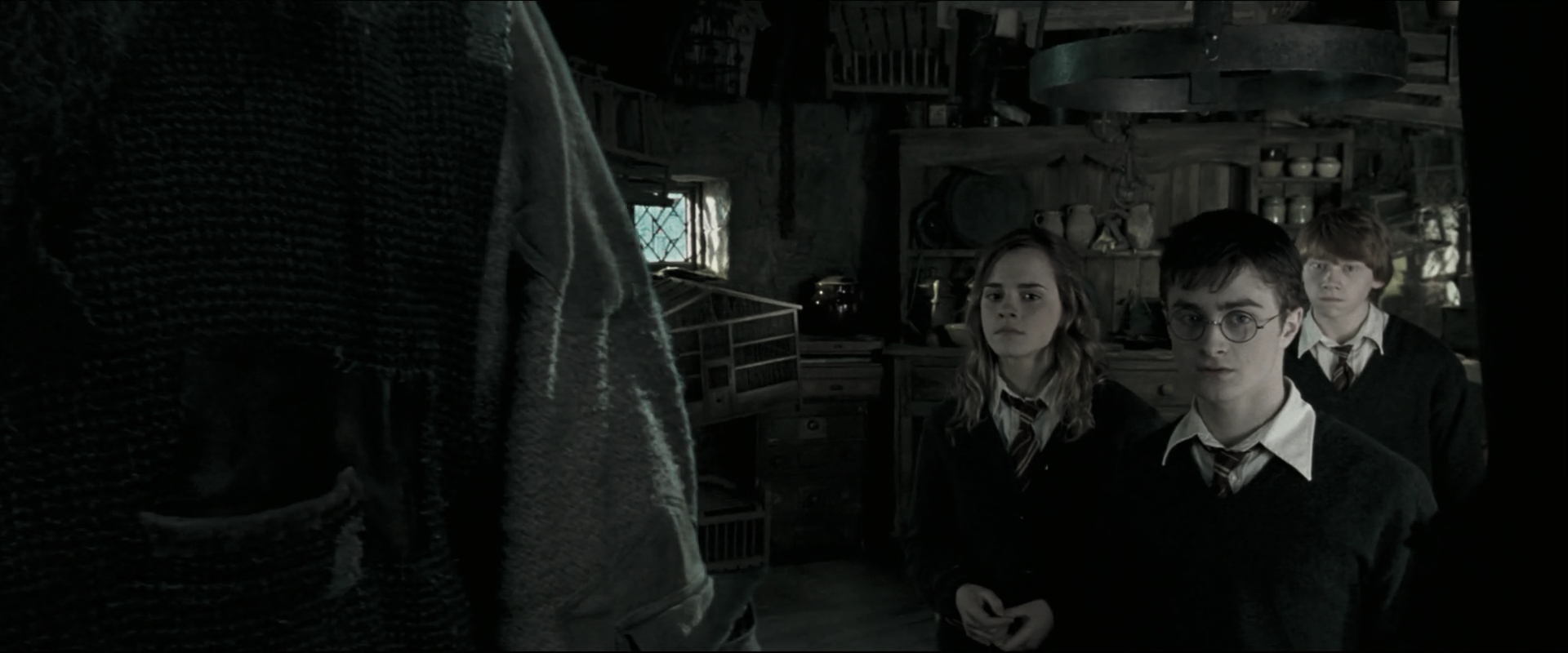 EmmaWatsonFan_dot_nl-HarryPotterAndTheOrderOfThePhoenix4610.jpg