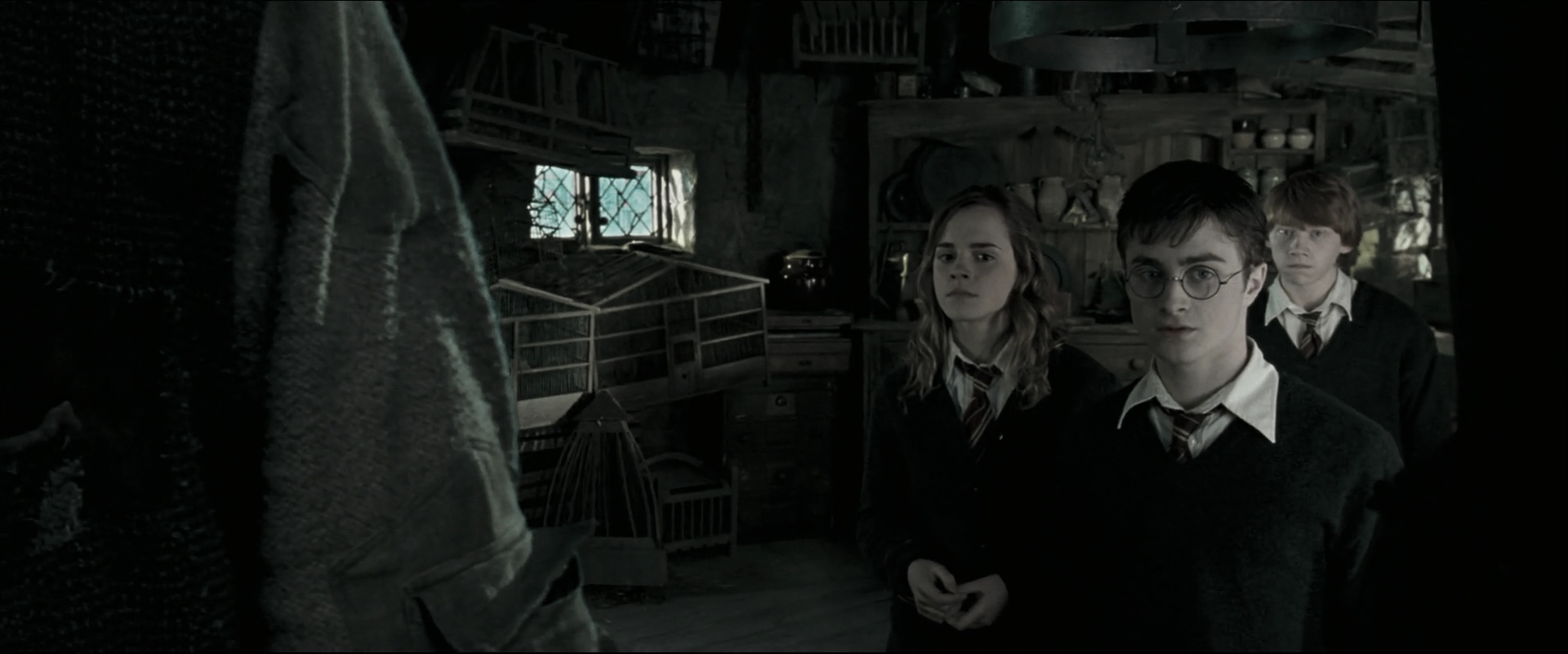 EmmaWatsonFan_dot_nl-HarryPotterAndTheOrderOfThePhoenix4611.jpg