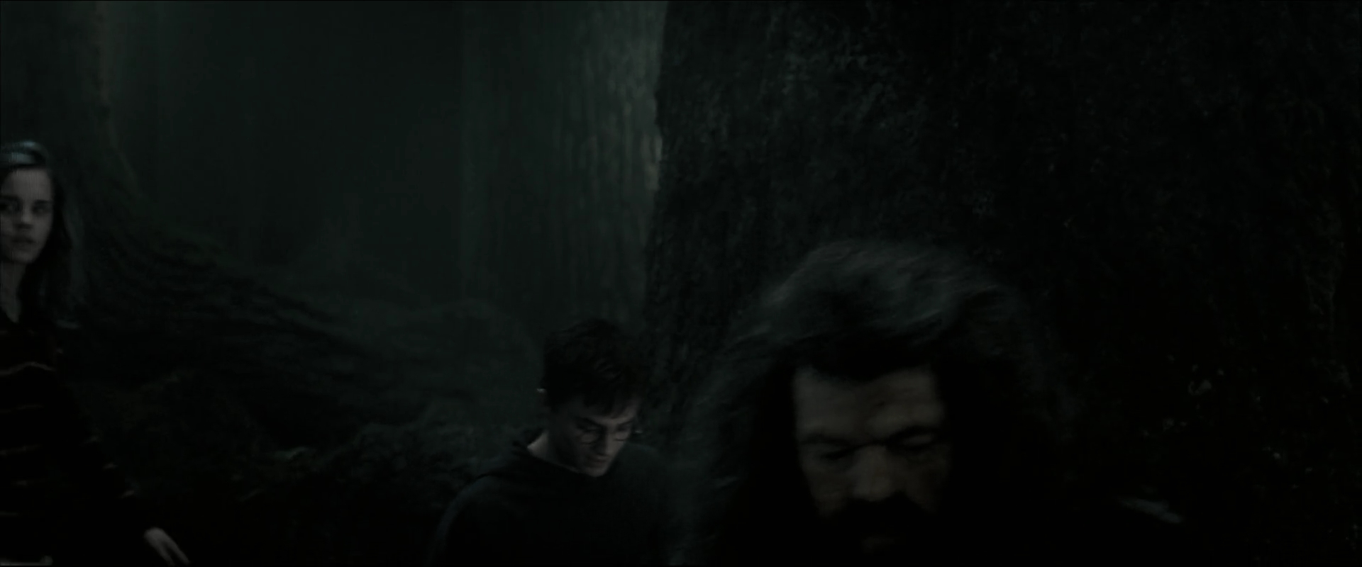 EmmaWatsonFan_dot_nl-HarryPotterAndTheOrderOfThePhoenix5138.jpg