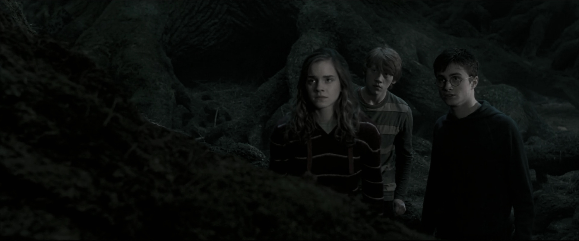 EmmaWatsonFan_dot_nl-HarryPotterAndTheOrderOfThePhoenix5166.jpg