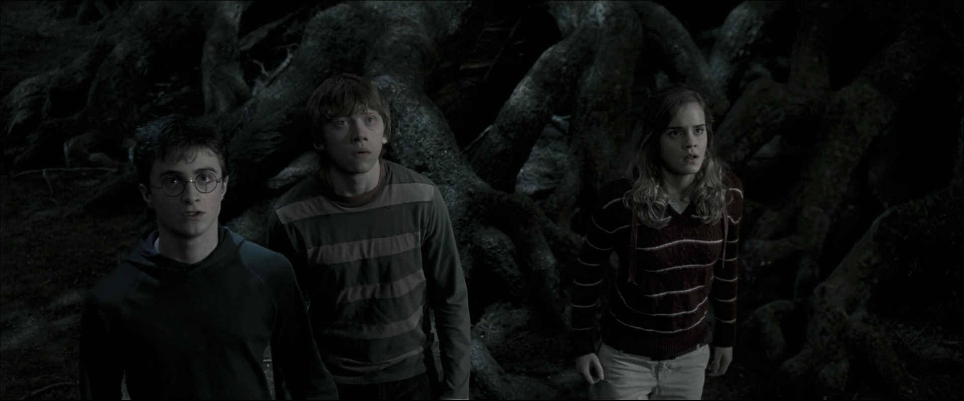 EmmaWatsonFan_dot_nl-HarryPotterAndTheOrderOfThePhoenix5188.jpg