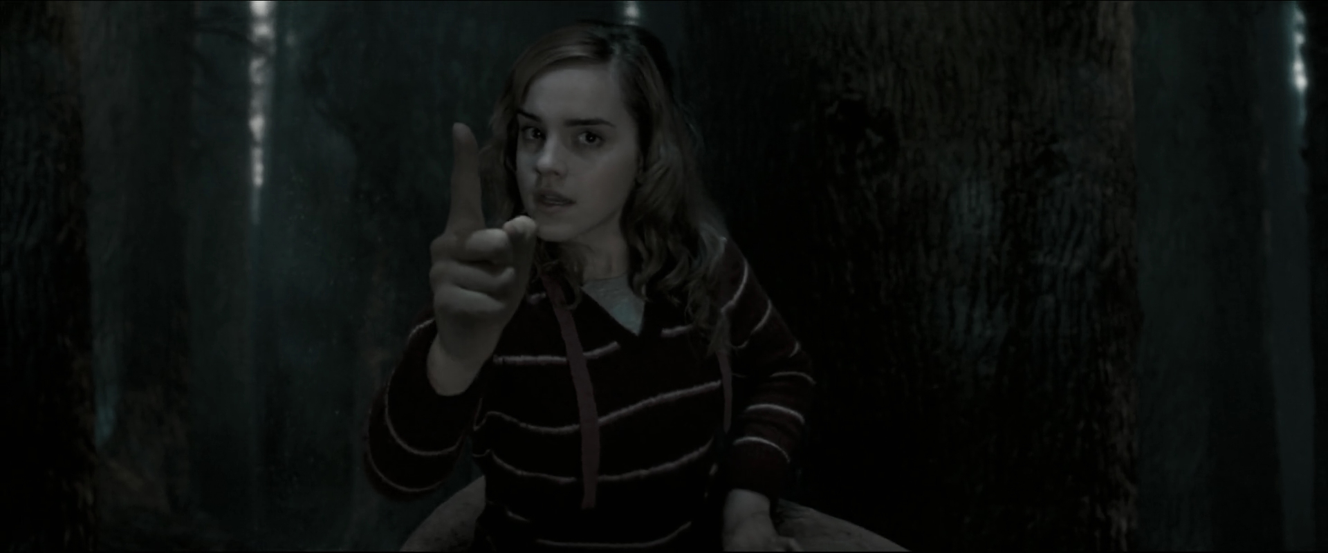 EmmaWatsonFan_dot_nl-HarryPotterAndTheOrderOfThePhoenix5249.jpg