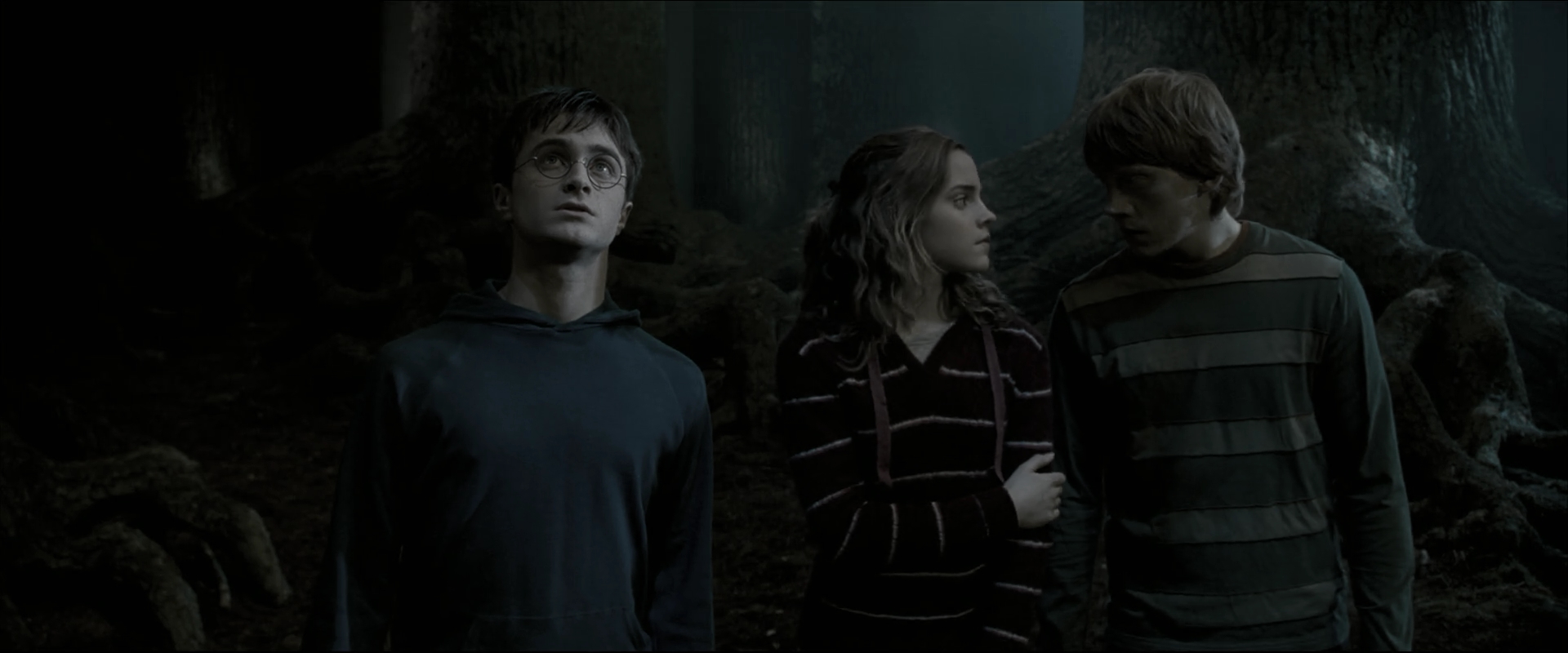 EmmaWatsonFan_dot_nl-HarryPotterAndTheOrderOfThePhoenix5264.jpg