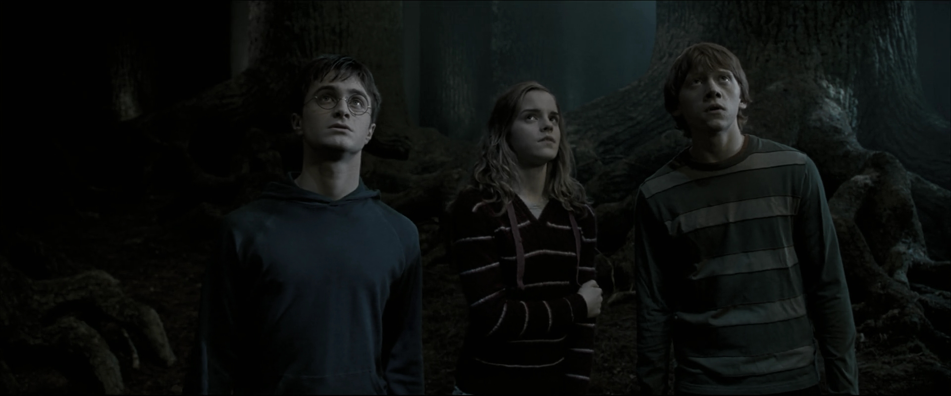 EmmaWatsonFan_dot_nl-HarryPotterAndTheOrderOfThePhoenix5267.jpg