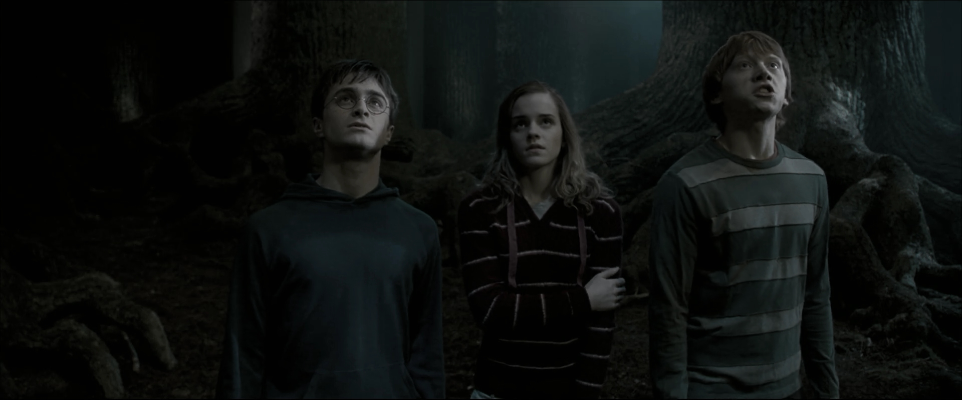 EmmaWatsonFan_dot_nl-HarryPotterAndTheOrderOfThePhoenix5274.jpg