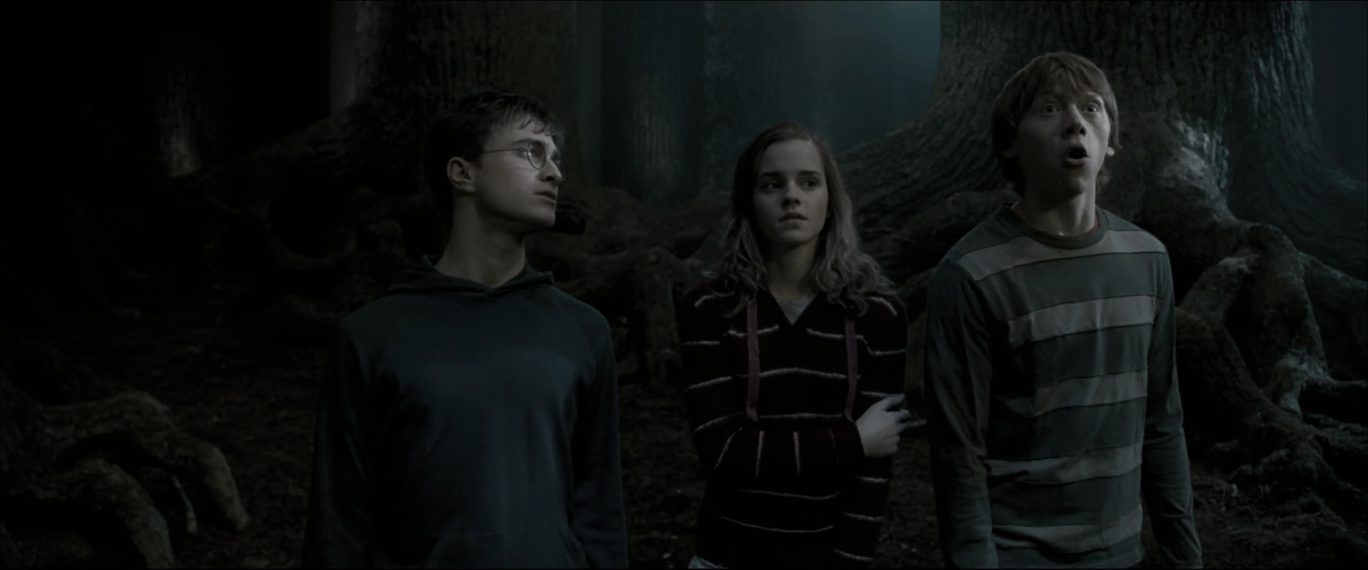 EmmaWatsonFan_dot_nl-HarryPotterAndTheOrderOfThePhoenix5275.jpg