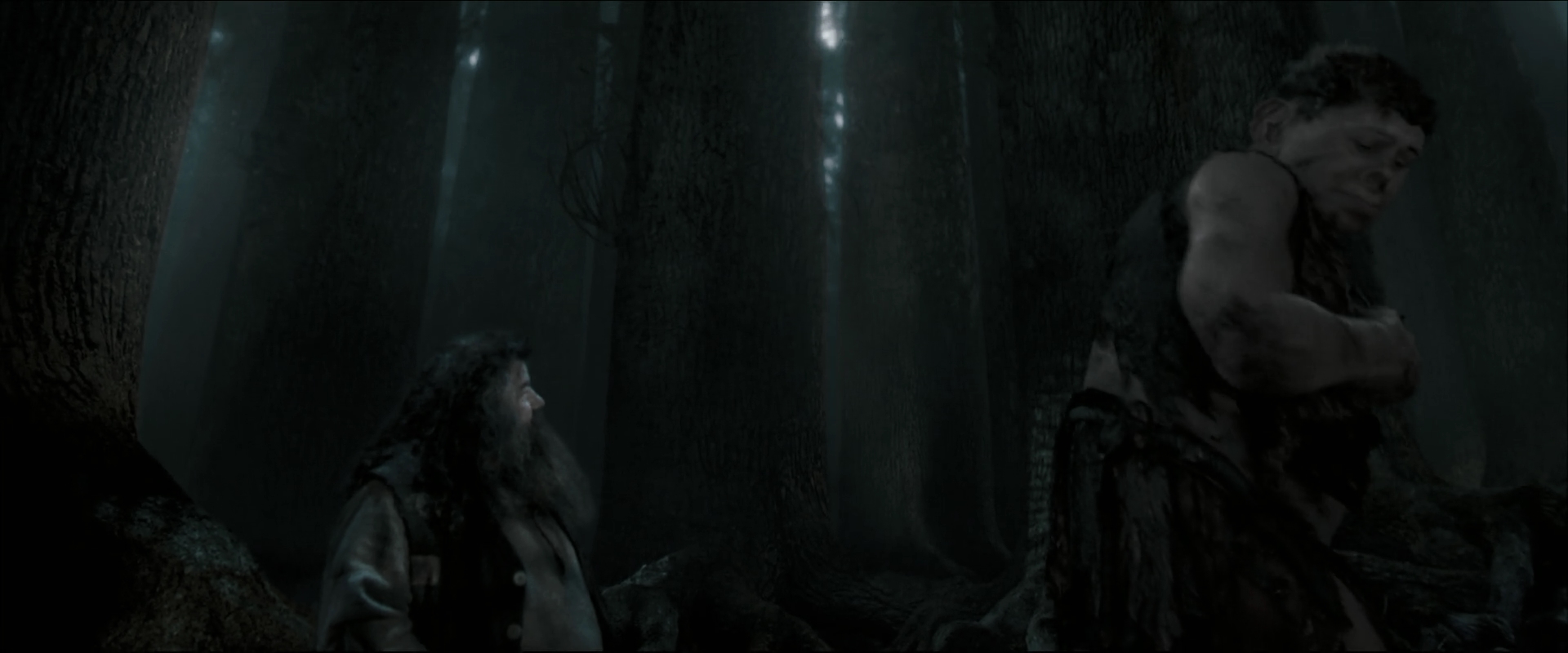 EmmaWatsonFan_dot_nl-HarryPotterAndTheOrderOfThePhoenix5277.jpg