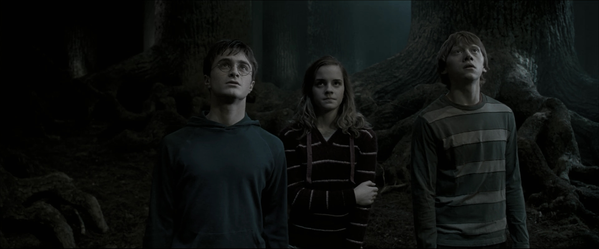 EmmaWatsonFan_dot_nl-HarryPotterAndTheOrderOfThePhoenix5281.jpg