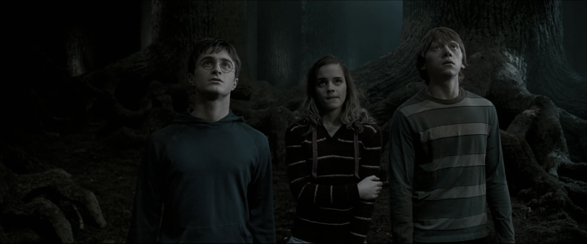 EmmaWatsonFan_dot_nl-HarryPotterAndTheOrderOfThePhoenix5282.jpg