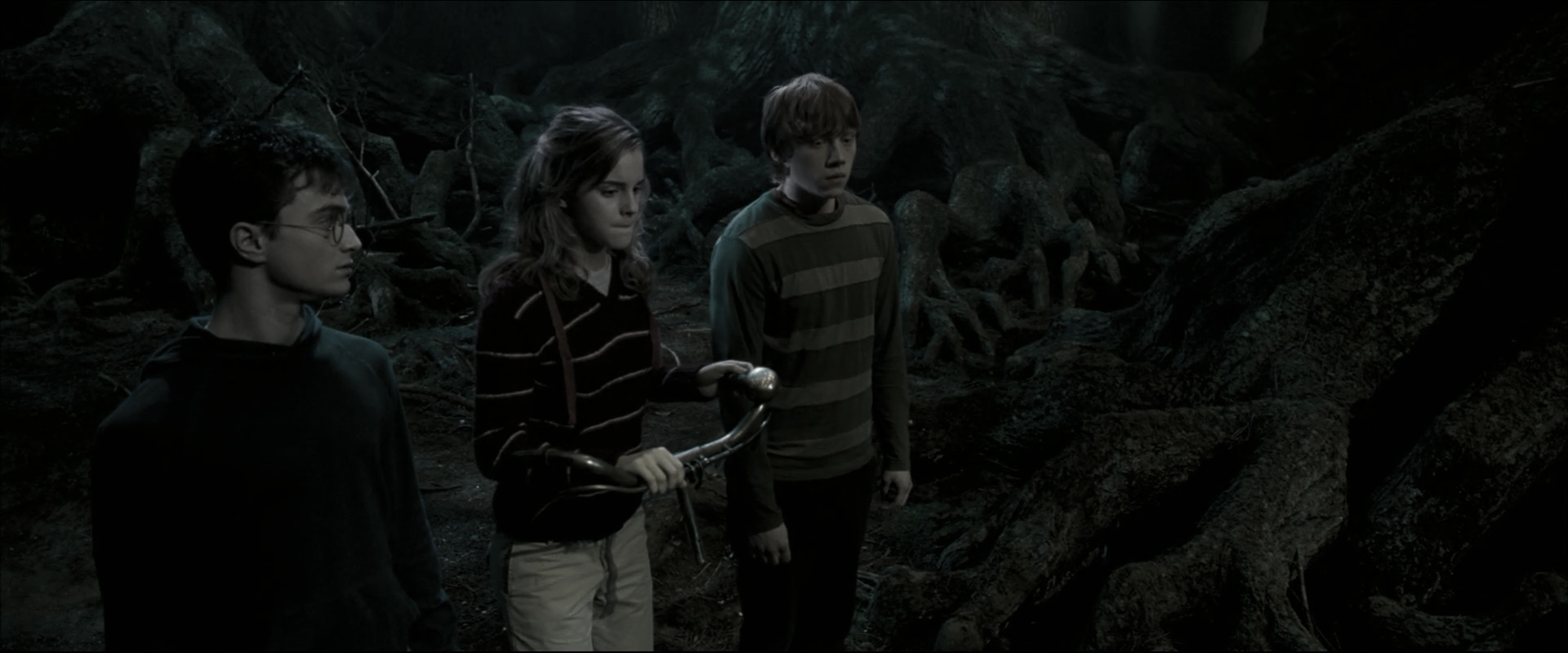 EmmaWatsonFan_dot_nl-HarryPotterAndTheOrderOfThePhoenix5292.jpg