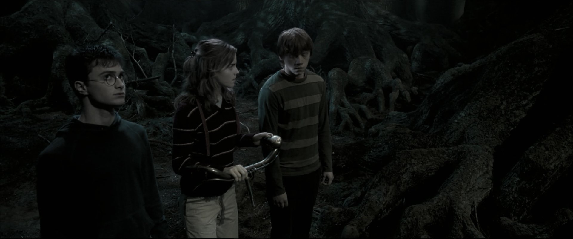 EmmaWatsonFan_dot_nl-HarryPotterAndTheOrderOfThePhoenix5293.jpg