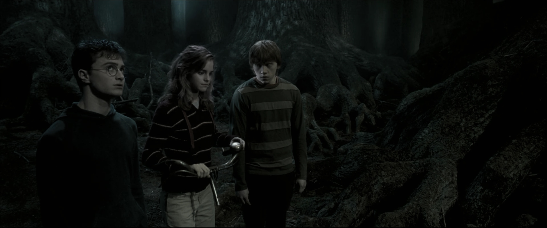 EmmaWatsonFan_dot_nl-HarryPotterAndTheOrderOfThePhoenix5298.jpg