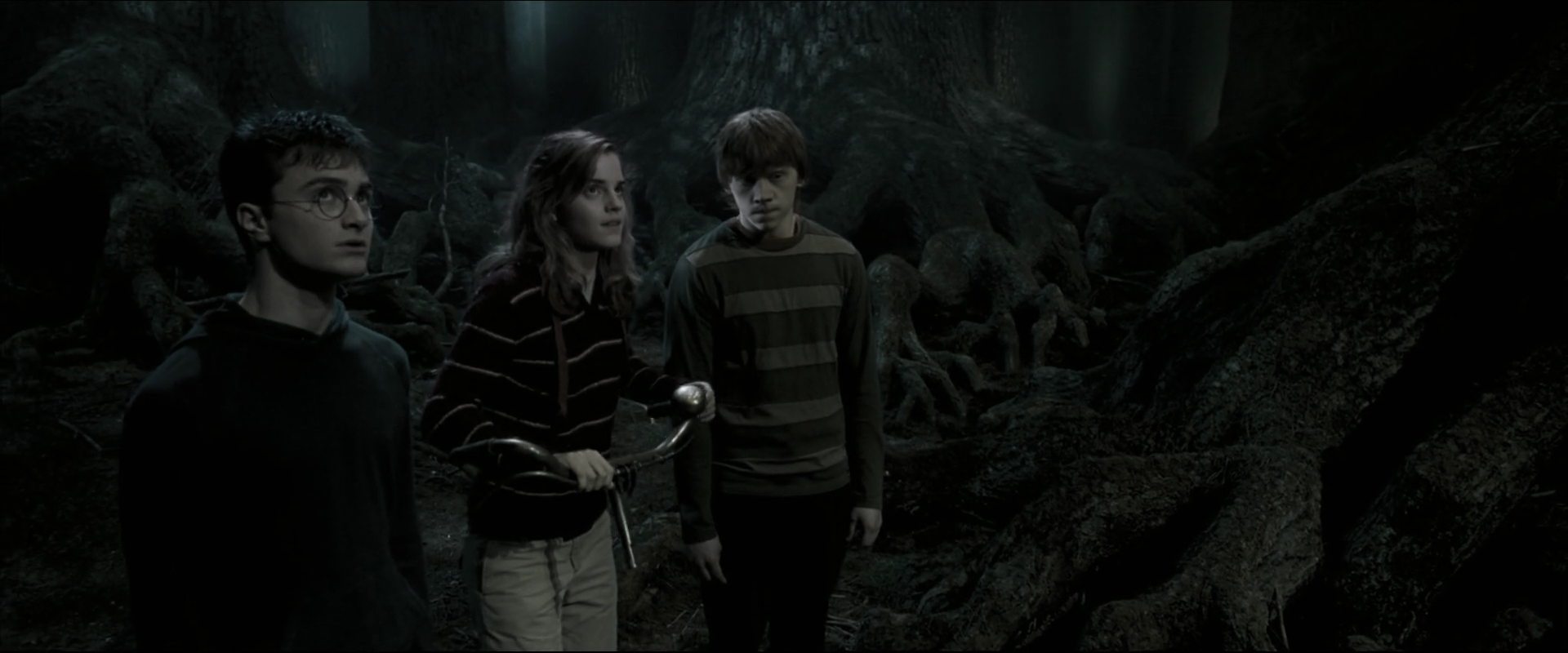 EmmaWatsonFan_dot_nl-HarryPotterAndTheOrderOfThePhoenix5300.jpg