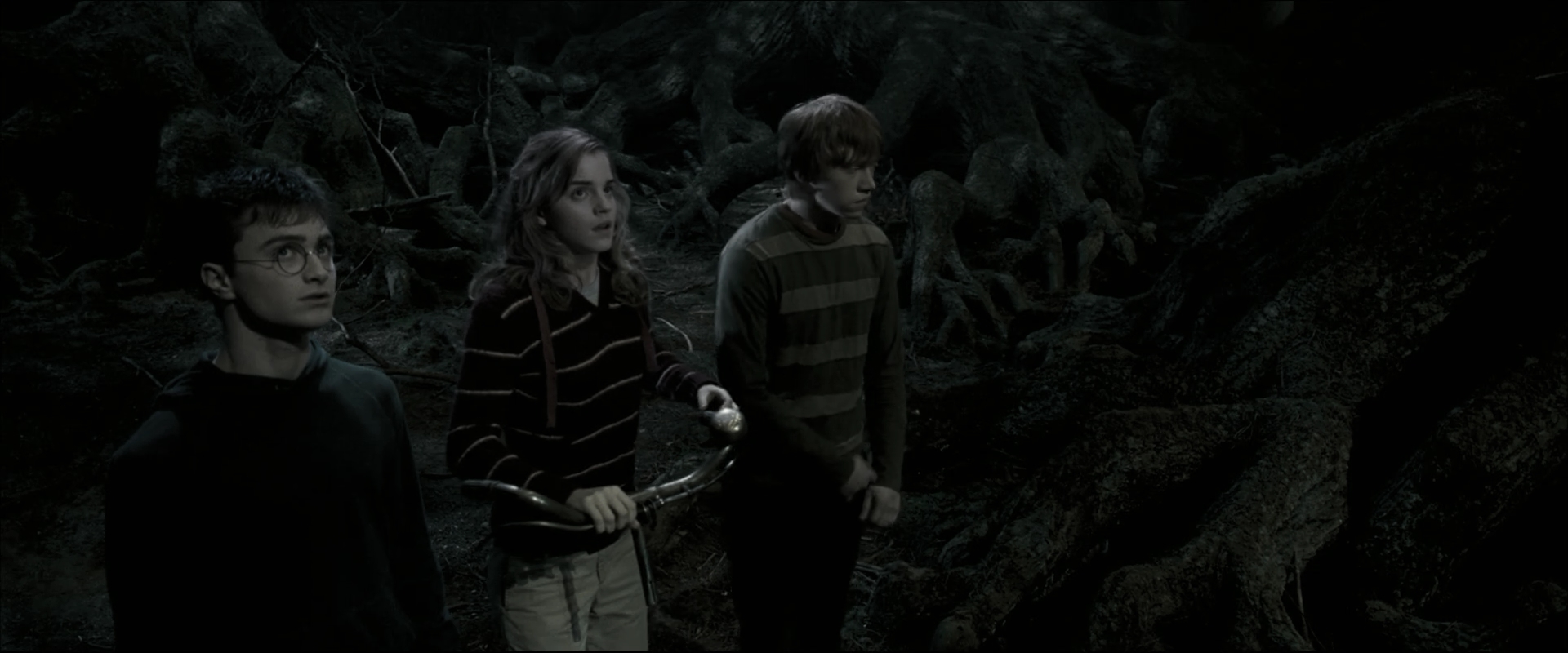 EmmaWatsonFan_dot_nl-HarryPotterAndTheOrderOfThePhoenix5303.jpg