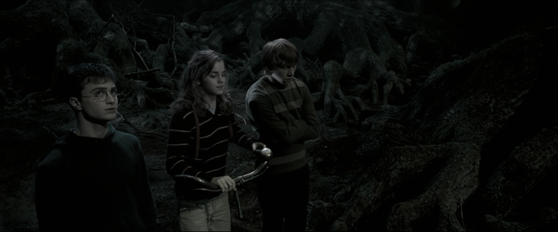EmmaWatsonFan_dot_nl-HarryPotterAndTheOrderOfThePhoenix5304.jpg