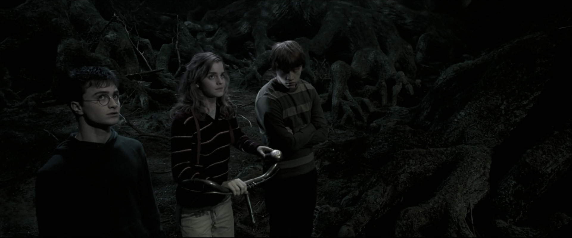 EmmaWatsonFan_dot_nl-HarryPotterAndTheOrderOfThePhoenix5305.jpg