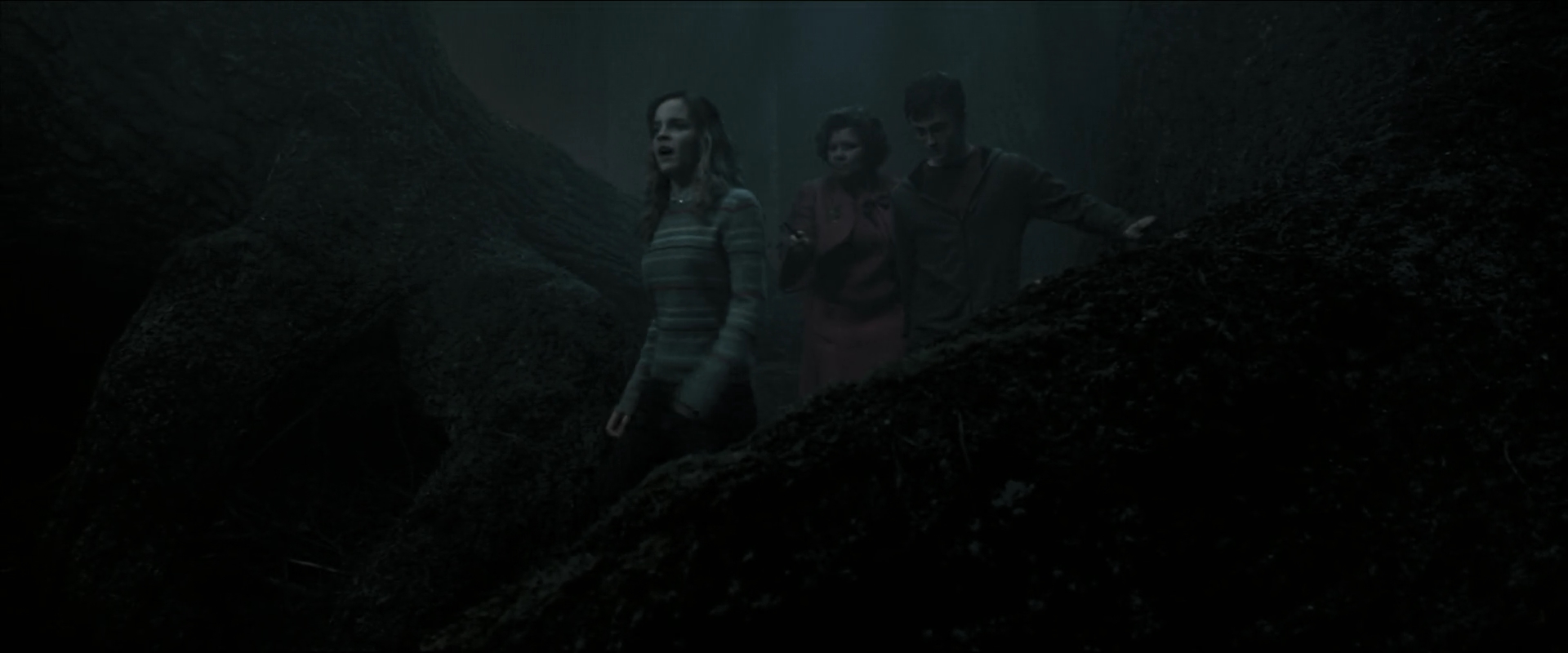 EmmaWatsonFan_dot_nl-HarryPotterAndTheOrderOfThePhoenix5915.jpg