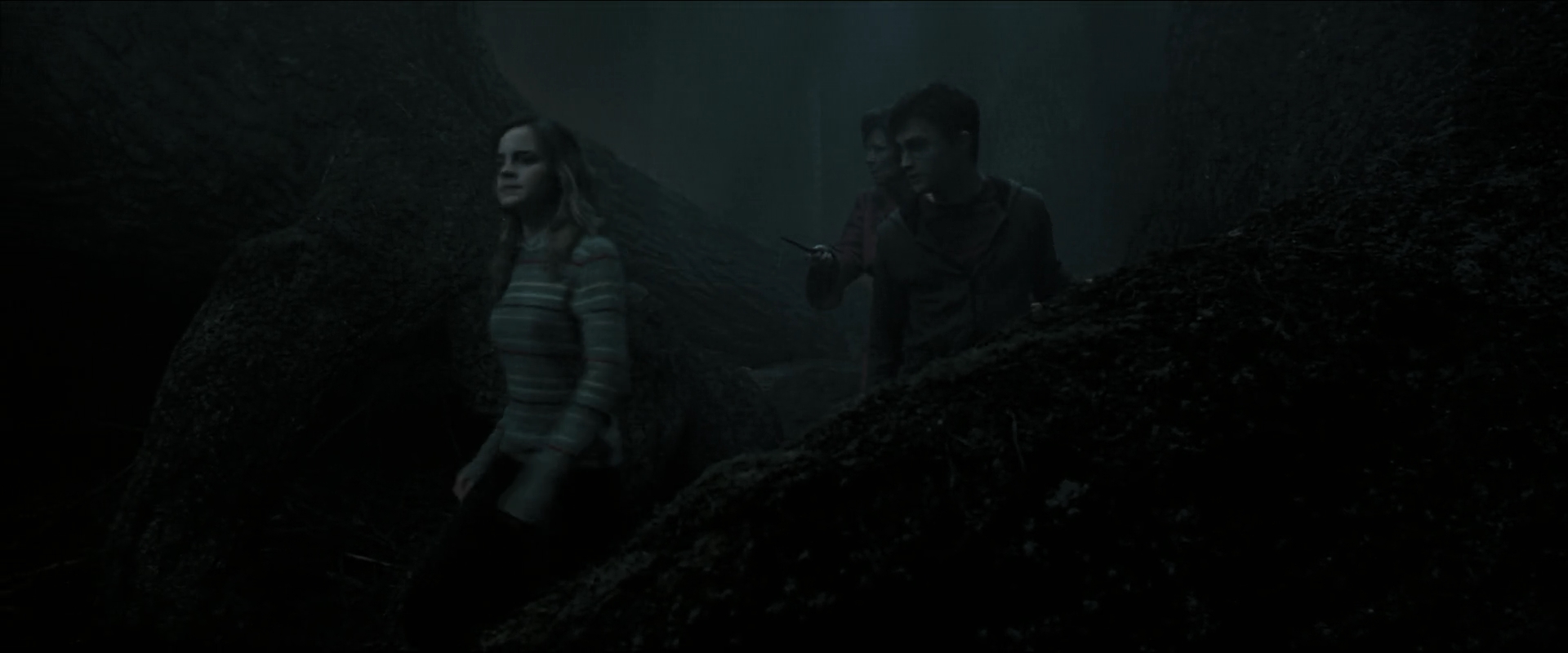 EmmaWatsonFan_dot_nl-HarryPotterAndTheOrderOfThePhoenix5916.jpg