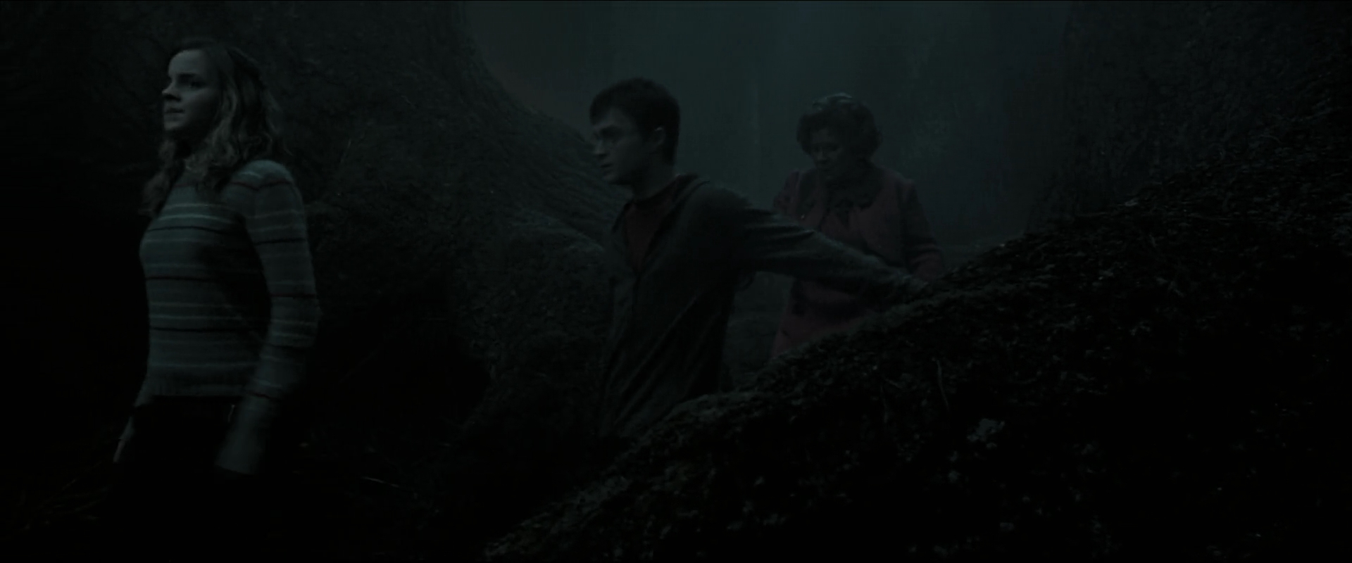 EmmaWatsonFan_dot_nl-HarryPotterAndTheOrderOfThePhoenix5917.jpg