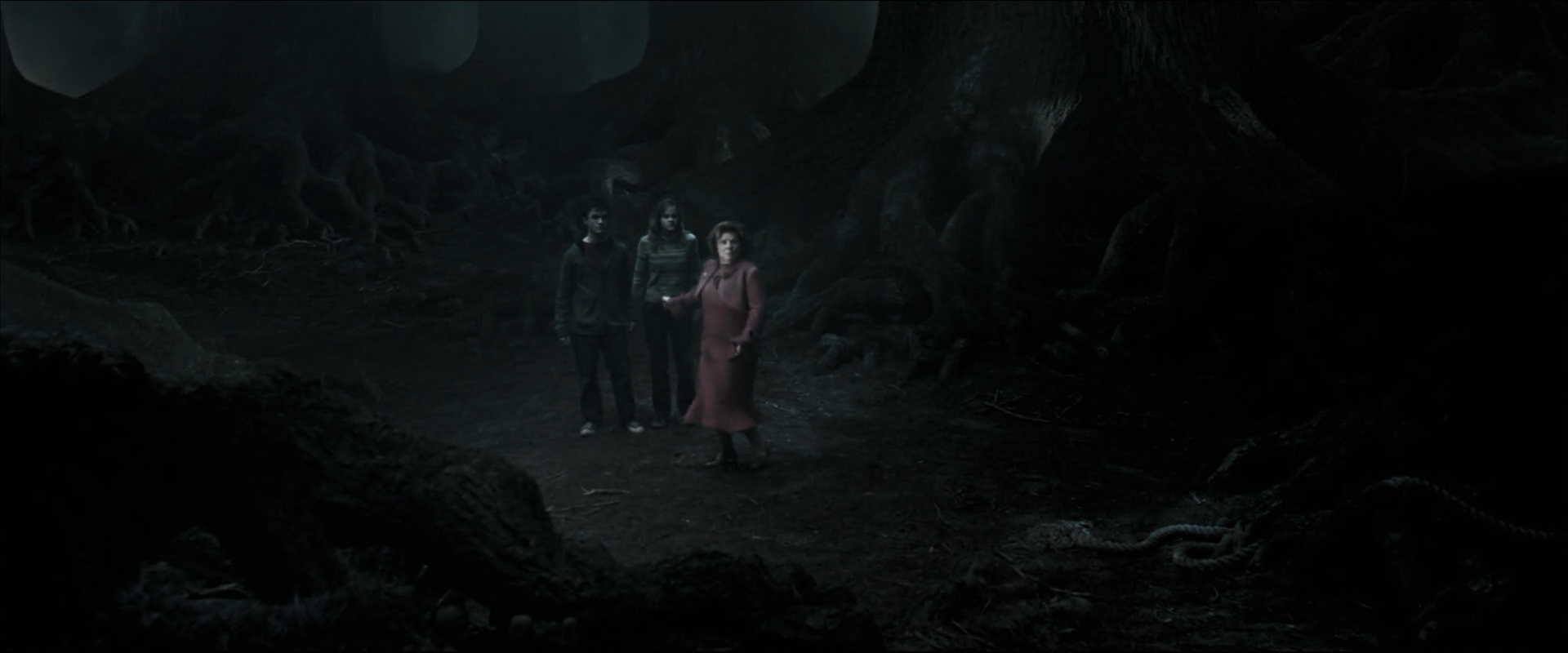 EmmaWatsonFan_dot_nl-HarryPotterAndTheOrderOfThePhoenix5966.jpg