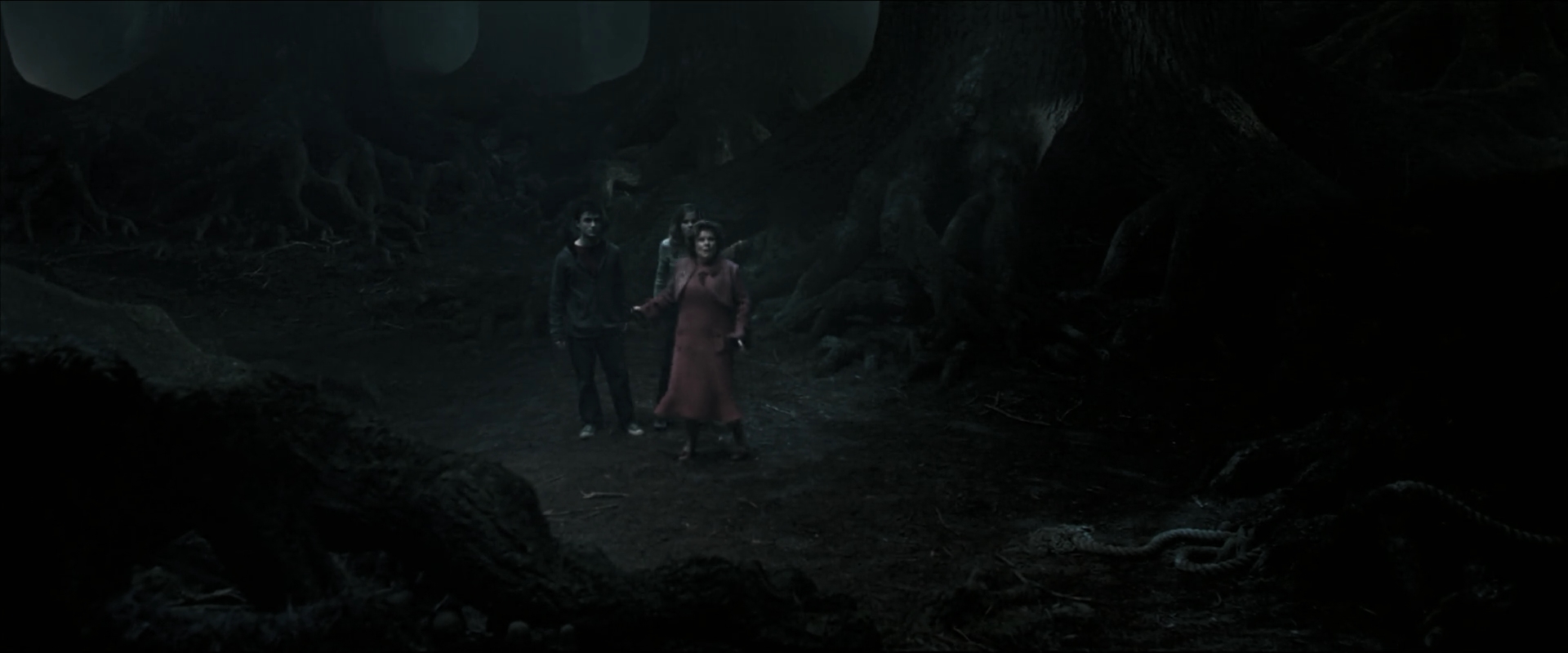 EmmaWatsonFan_dot_nl-HarryPotterAndTheOrderOfThePhoenix5967.jpg