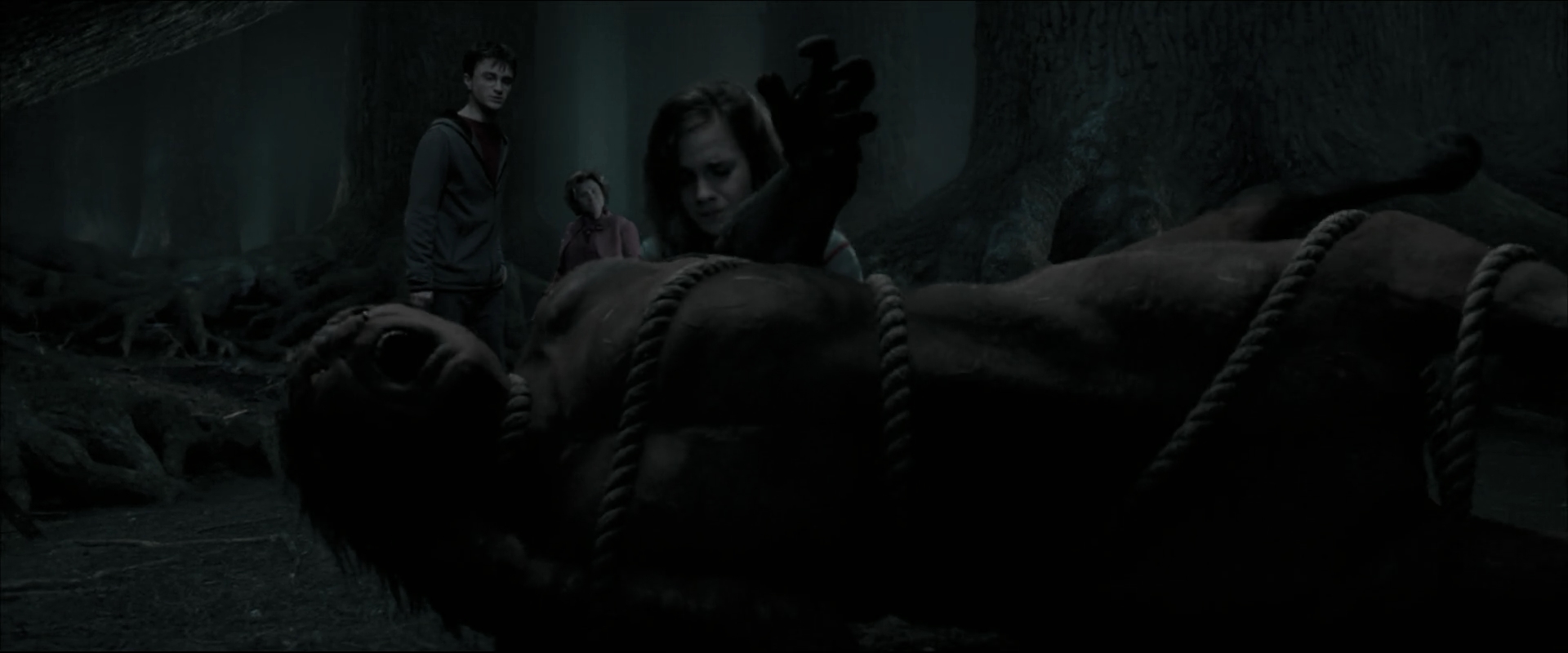 EmmaWatsonFan_dot_nl-HarryPotterAndTheOrderOfThePhoenix6010.jpg