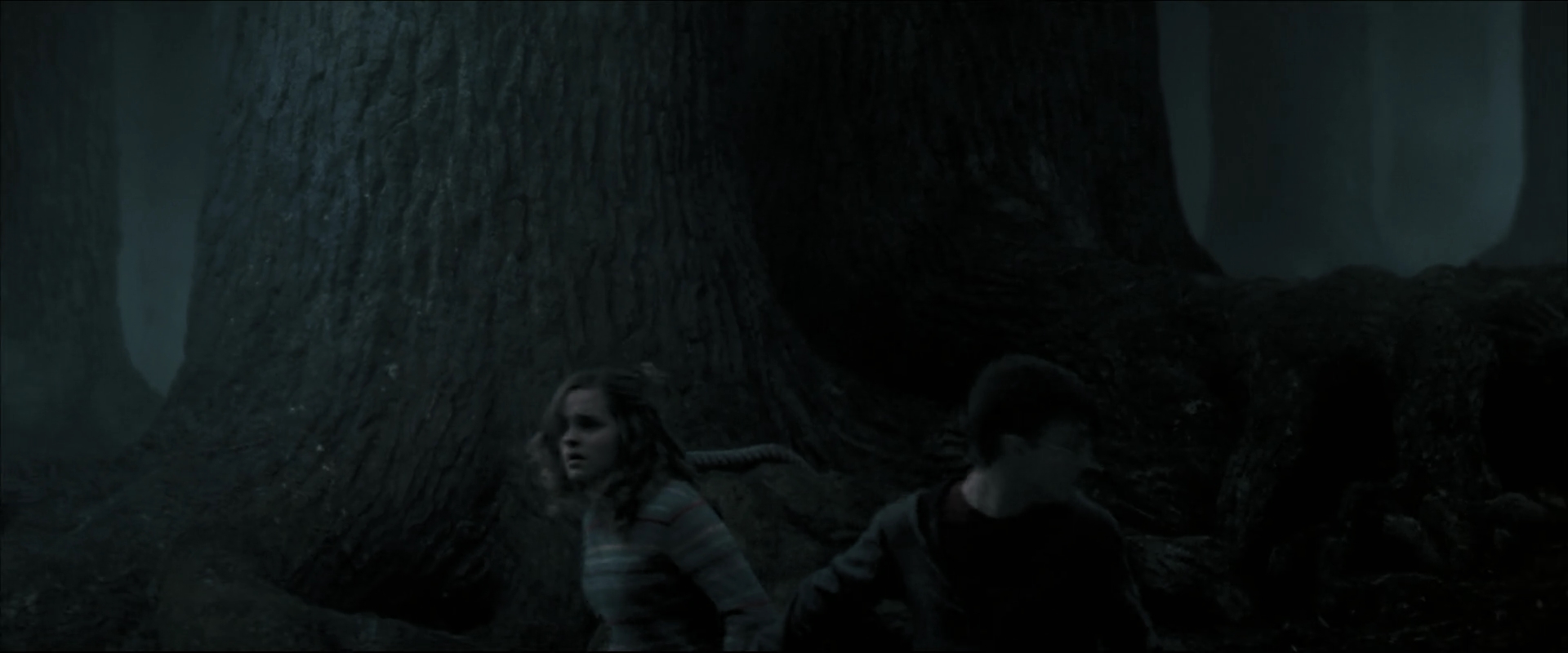 EmmaWatsonFan_dot_nl-HarryPotterAndTheOrderOfThePhoenix6028.jpg