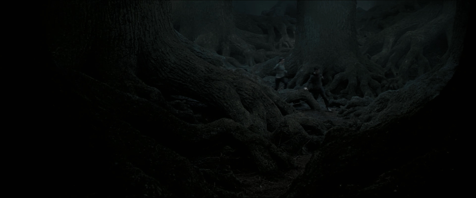 EmmaWatsonFan_dot_nl-HarryPotterAndTheOrderOfThePhoenix6071.jpg