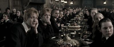 EmmaWatsonFan_dot_nl-HarryPotterAndTheOrderOfThePhoenix1844.jpg