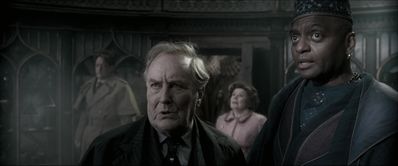 EmmaWatsonFan_dot_nl-HarryPotterAndTheOrderOfThePhoenix4969.jpg