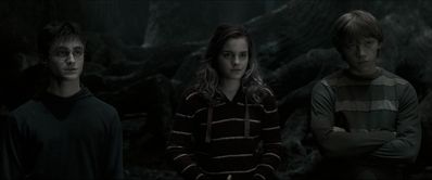 EmmaWatsonFan_dot_nl-HarryPotterAndTheOrderOfThePhoenix5314.jpg