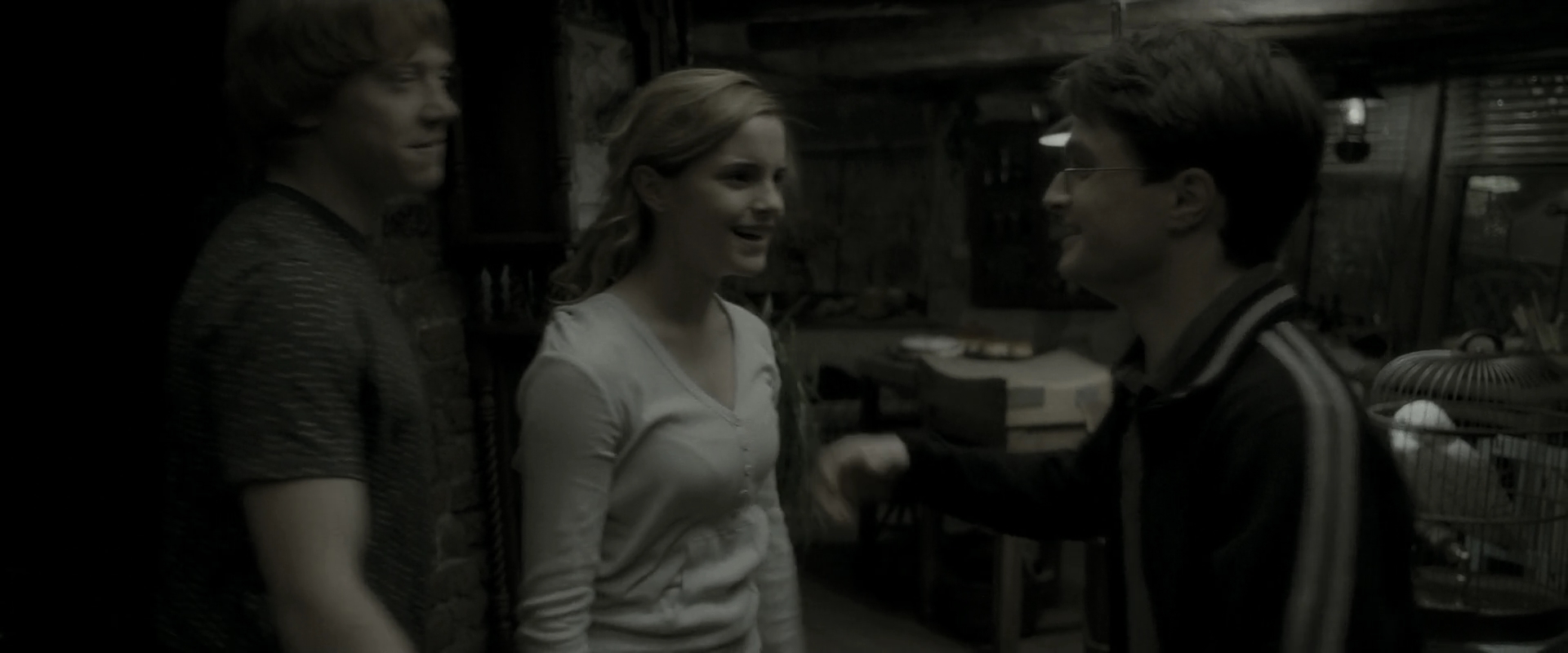 EmmaWatsonFan_dot_nl-HarryPotterAndTheHalfBloodPrince0767.jpg