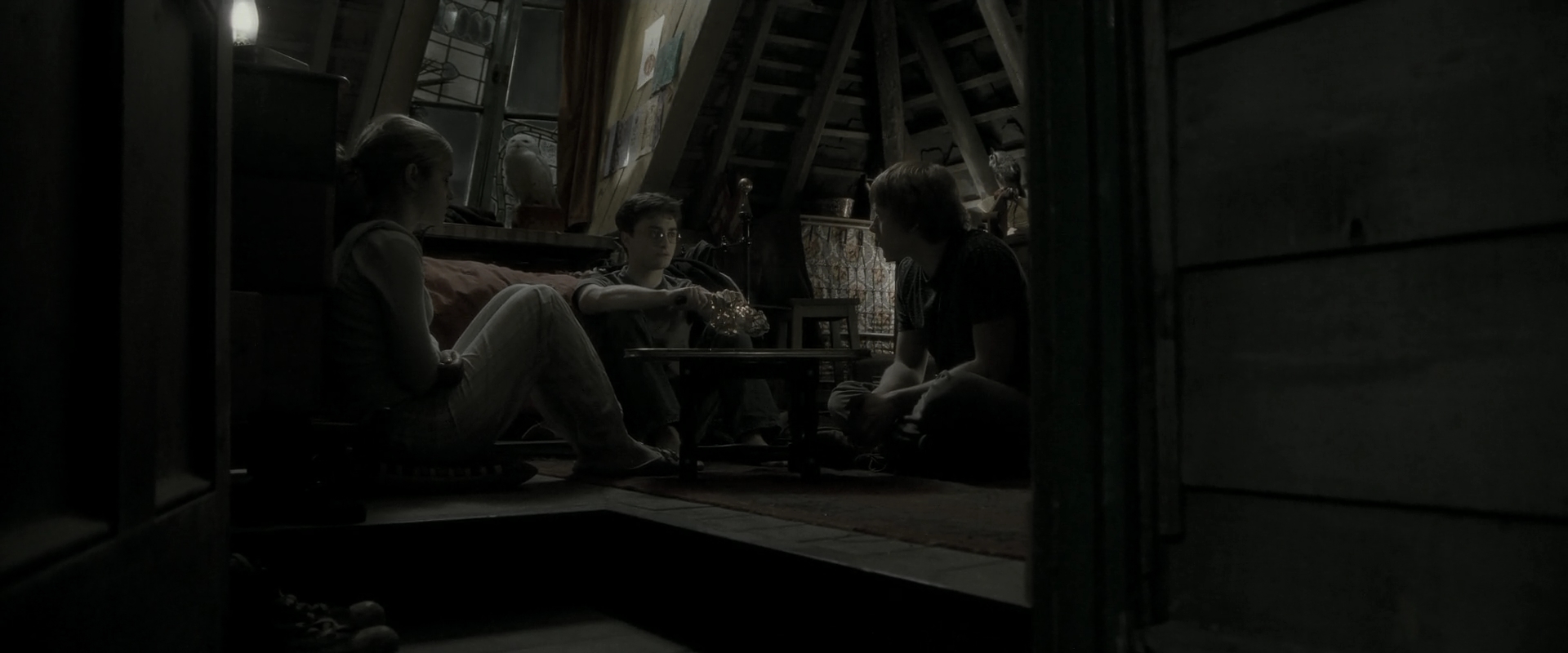 EmmaWatsonFan_dot_nl-HarryPotterAndTheHalfBloodPrince0804.jpg
