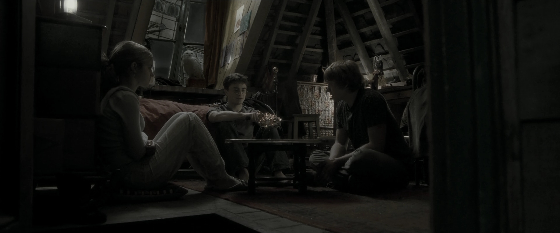 EmmaWatsonFan_dot_nl-HarryPotterAndTheHalfBloodPrince0818.jpg