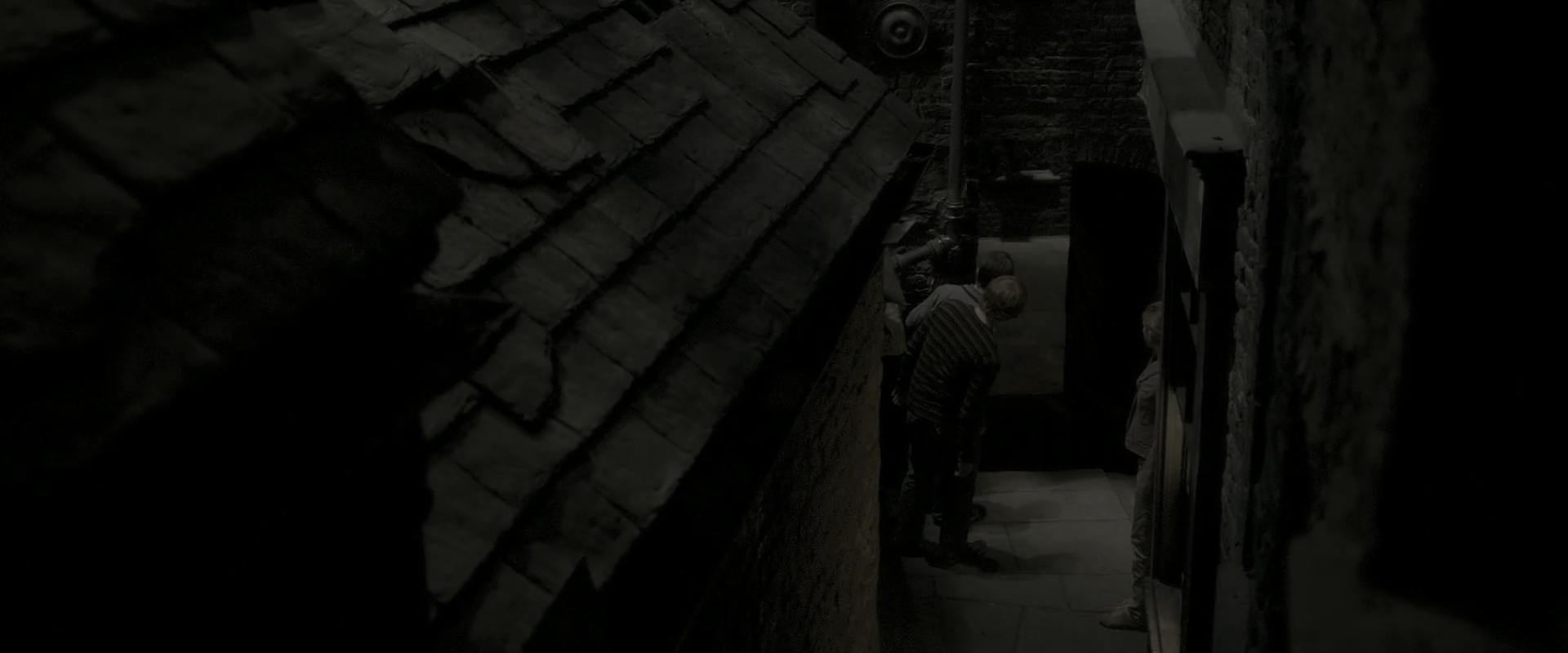 EmmaWatsonFan_dot_nl-HarryPotterAndTheHalfBloodPrince1240.jpg