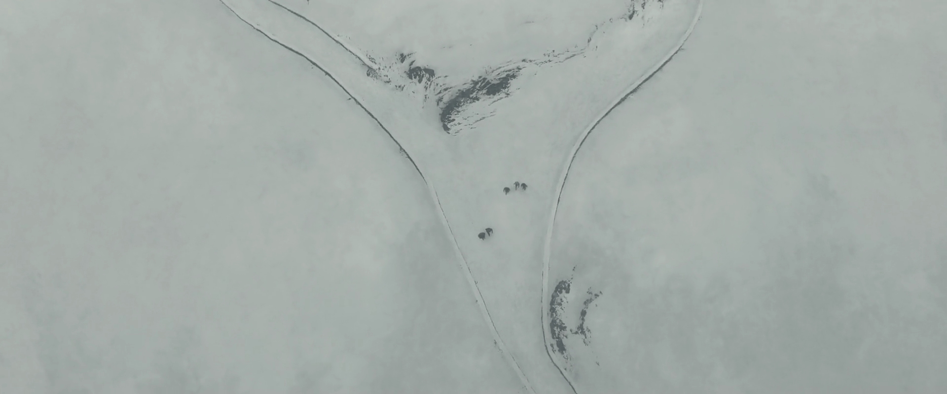 EmmaWatsonFan_dot_nl-HarryPotterAndTheHalfBloodPrince2868.jpg EmmaWatsonFan_dot_nl-HarryPotterAndTheHalfBloodPrince2868.jpg