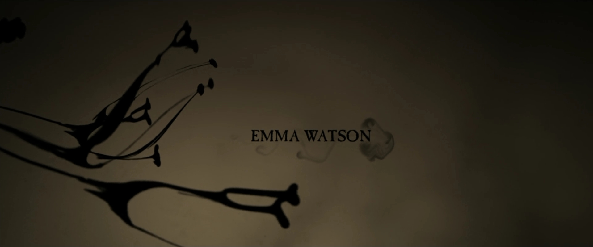 EmmaWatsonFan_dot_nl-HarryPotterAndTheHalfBloodPrince8470.jpg