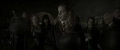 EmmaWatsonFan_dot_nl-HarryPotterAndTheHalfBloodPrince1980.jpg