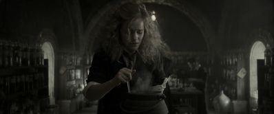 EmmaWatsonFan_dot_nl-HarryPotterAndTheHalfBloodPrince2147.jpg