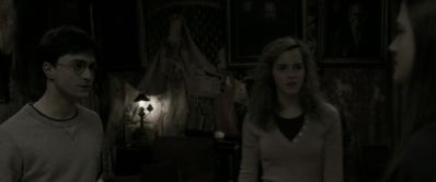 EmmaWatsonFan_dot_nl-HarryPotterAndTheHalfBloodPrince2839.jpg