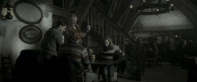 EmmaWatsonFan_dot_nl-HarryPotterAndTheHalfBloodPrince2975.jpg