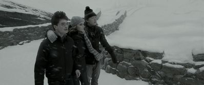 EmmaWatsonFan_dot_nl-HarryPotterAndTheHalfBloodPrince3047.jpg