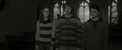 EmmaWatsonFan_dot_nl-HarryPotterAndTheHalfBloodPrince3139.jpg