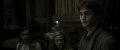 EmmaWatsonFan_dot_nl-HarryPotterAndTheHalfBloodPrince3376.jpg