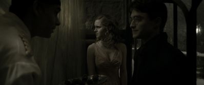 EmmaWatsonFan_dot_nl-HarryPotterAndTheHalfBloodPrince4123.jpg