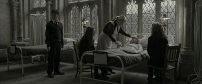 EmmaWatsonFan_dot_nl-HarryPotterAndTheHalfBloodPrince5323.jpg